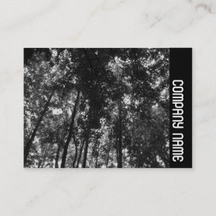 Carte De Visite Bande latérale - Canopée de la forêt 01 NB