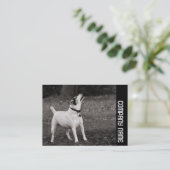 Carte De Visite Bande latérale - Chien (Debout devant)
