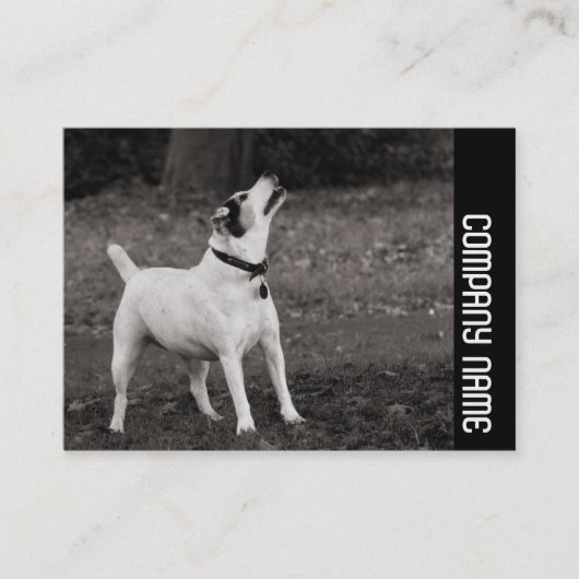 Carte De Visite Bande latérale - Chien (Devant)