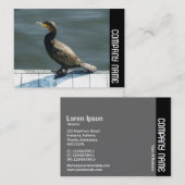 Carte De Visite Bande latérale - Cormorant (Devant / Derrière)