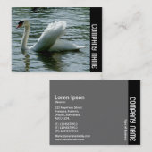 Carte De Visite Bande latérale - Cygne (Devant / Derrière)