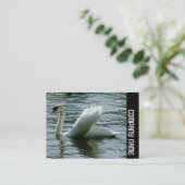 Carte De Visite Bande latérale - Cygne (Debout devant)