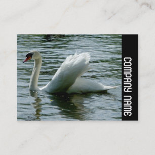 Carte De Visite Bande latérale - Cygne