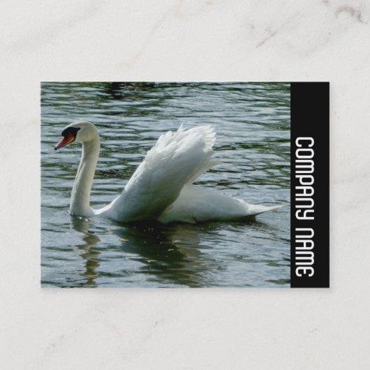 Carte De Visite Bande latérale - Cygne (Devant)