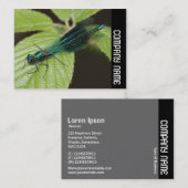 Carte De Visite Bande latérale - Dragonfly (Devant / Derrière)