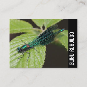 Carte De Visite Bande latérale - Dragonfly