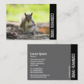 Carte De Visite Bande latérale - Écureuil gris (Devant / Derrière)