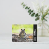 Carte De Visite Bande latérale - Écureuil gris (Debout devant)