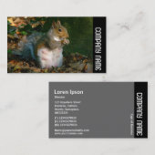 Carte De Visite Bande latérale - Écureuil gris (Devant / Derrière)