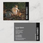 Carte De Visite Bande latérale - Écureuil gris (Devant / Derrière)