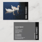 Carte De Visite Bande latérale - Emden Geese (Devant / Derrière)
