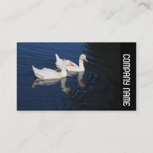 Carte De Visite Bande latérale - Emden Geese