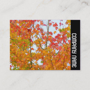 Carte De Visite Bande latérale - Feuilles d'automne