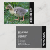 Carte De Visite Bande latérale - Gosling 02 (Devant / Derrière)
