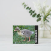 Carte De Visite Bande latérale - Gosling 02 (Debout devant)