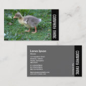 Carte De Visite Bande latérale - Gosling 02 (Devant / Derrière)