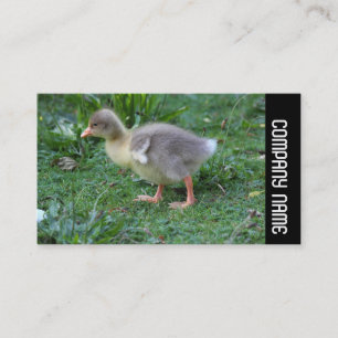 Carte De Visite Bande latérale - Gosling 02