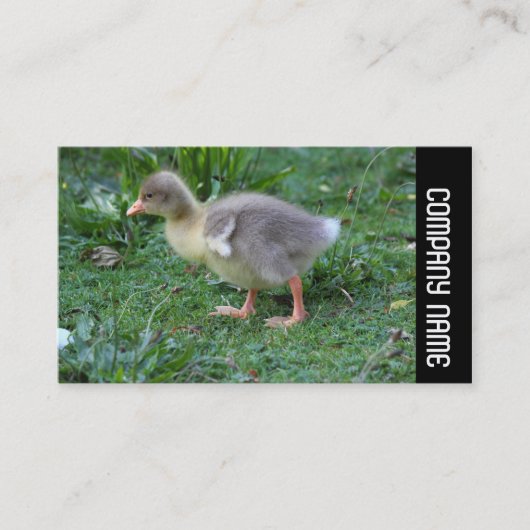 Carte De Visite Bande latérale - Gosling 02 (Devant)