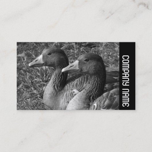 Carte De Visite Bande latérale - Greylag Geese B&W (Devant)