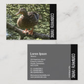 Carte De Visite Bande latérale - Joyeux canard (Devant / Derrière)