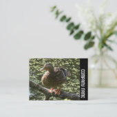 Carte De Visite Bande latérale - Joyeux canard (Debout devant)