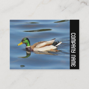 Carte De Visite Bande latérale - Mallard Duck