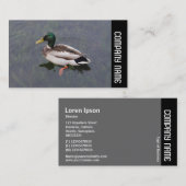 Carte De Visite Bande latérale - Mallard Duck (Devant / Derrière)