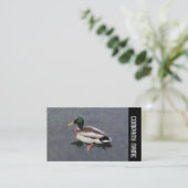 Carte De Visite Bande latérale - Mallard Duck (Debout devant)