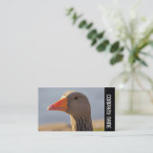 Carte De Visite Bande latérale - Oie de laitier curieux (Debout devant)