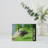 Carte De Visite Bande latérale - Oie grisette (Debout devant)