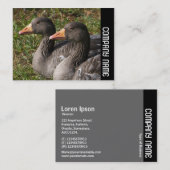 Carte De Visite Bande latérale - Oies grises (Devant / Derrière)