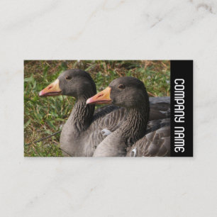 Carte De Visite Bande latérale - Oies grises