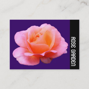 Carte De Visite Bande latérale - Rose rose (Moss Green)