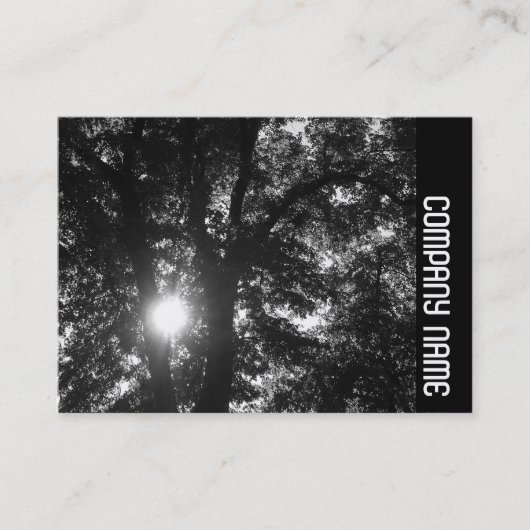 Carte De Visite Bande latérale - Sun Through Trees B&W (Devant)