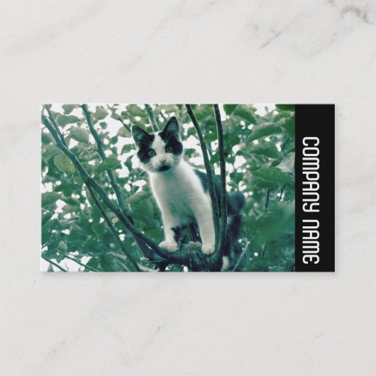 Carte De Visite Bande latérale - Superfluence de la méchanceté (Devant)