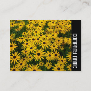 Carte De Visite Bande latérale - Susans aux yeux noirs (Rudbeckia