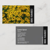 Carte De Visite Bande latérale - Susans aux yeux noirs (Rudbeckia  (Devant / Derrière)