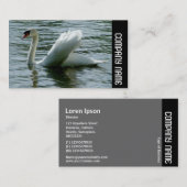 Carte De Visite Bande latérale - Swan (Devant / Derrière)