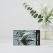 Carte De Visite Bande latérale - Swan (Debout devant)