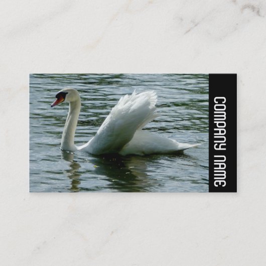 Carte De Visite Bande latérale - Swan (Devant)