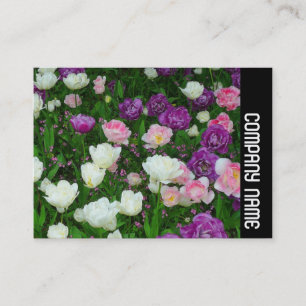 Carte De Visite Bande latérale - Tulipes colorées