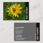 Carte De Visite Bande latérale - Vol stationnaire sur un chrysanth (Devant / Derrière)