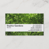 Carte De Visite Bande V2 - auvent de texture de région boisée (Dos)