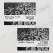 Carte De Visite Bande V2 - sedum "joie de texture d'automne " (Devant / Derrière)