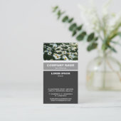 Carte De Visite Banded vertical - Casta Daisies (Debout devant)