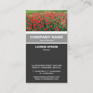 Carte De Visite Banded vertical - Lit de tulipes rouges 01