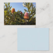 Carte De Visite Banskia australienne fleurit (Devant / Derrière)