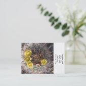 Carte De Visite Baril Cactus Plante Fishhook Jaune (Debout devant)