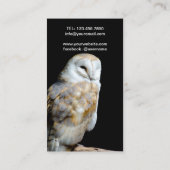 Carte De Visite Barn Owl Sur L'Arrière - plan Noir (Dos)