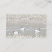 Carte De Visite Barrage de Canvasback (Dos)